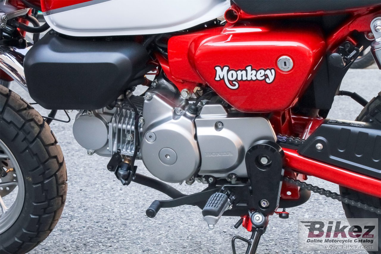 Thumbnail for Honda Monkey 2019