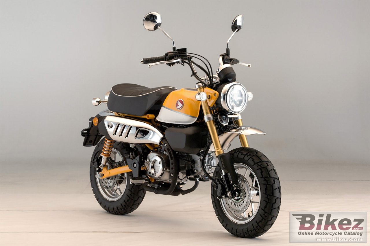 Thumbnail for Honda Monkey 2019