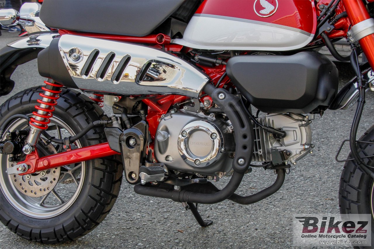 Thumbnail for Honda Monkey 2019