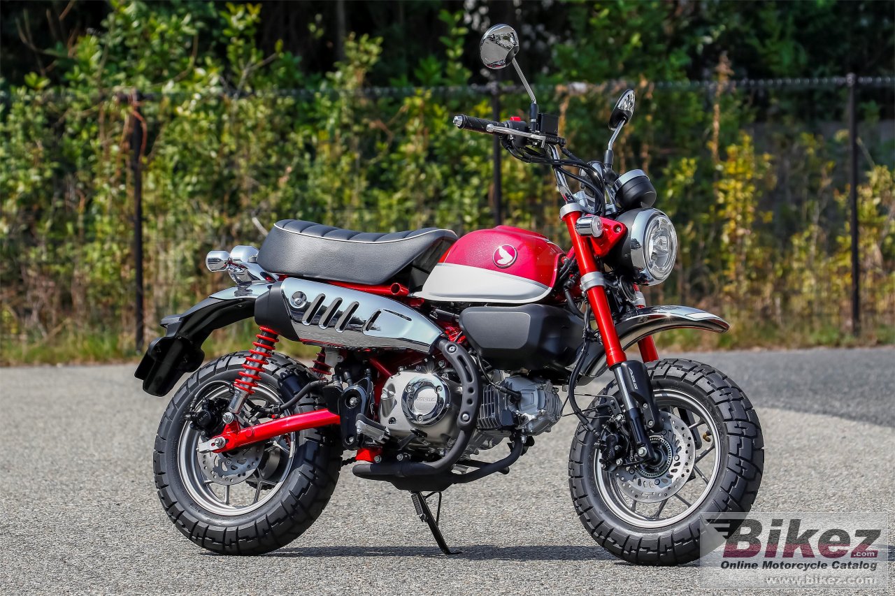 Thumbnail for Honda Monkey 2019