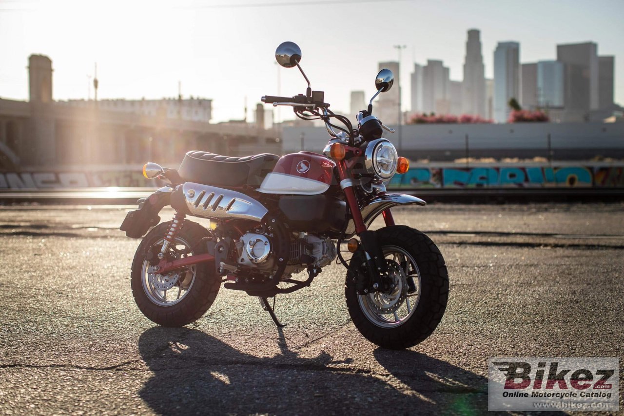 Thumbnail for Honda Monkey 2021