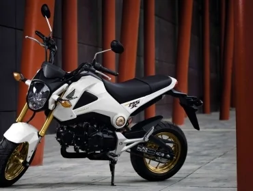 Thumbnail for Honda MSX125 2015