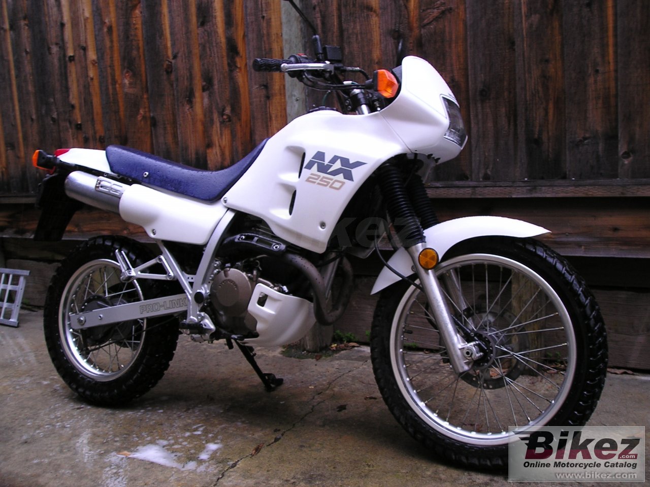 Honda NX 250