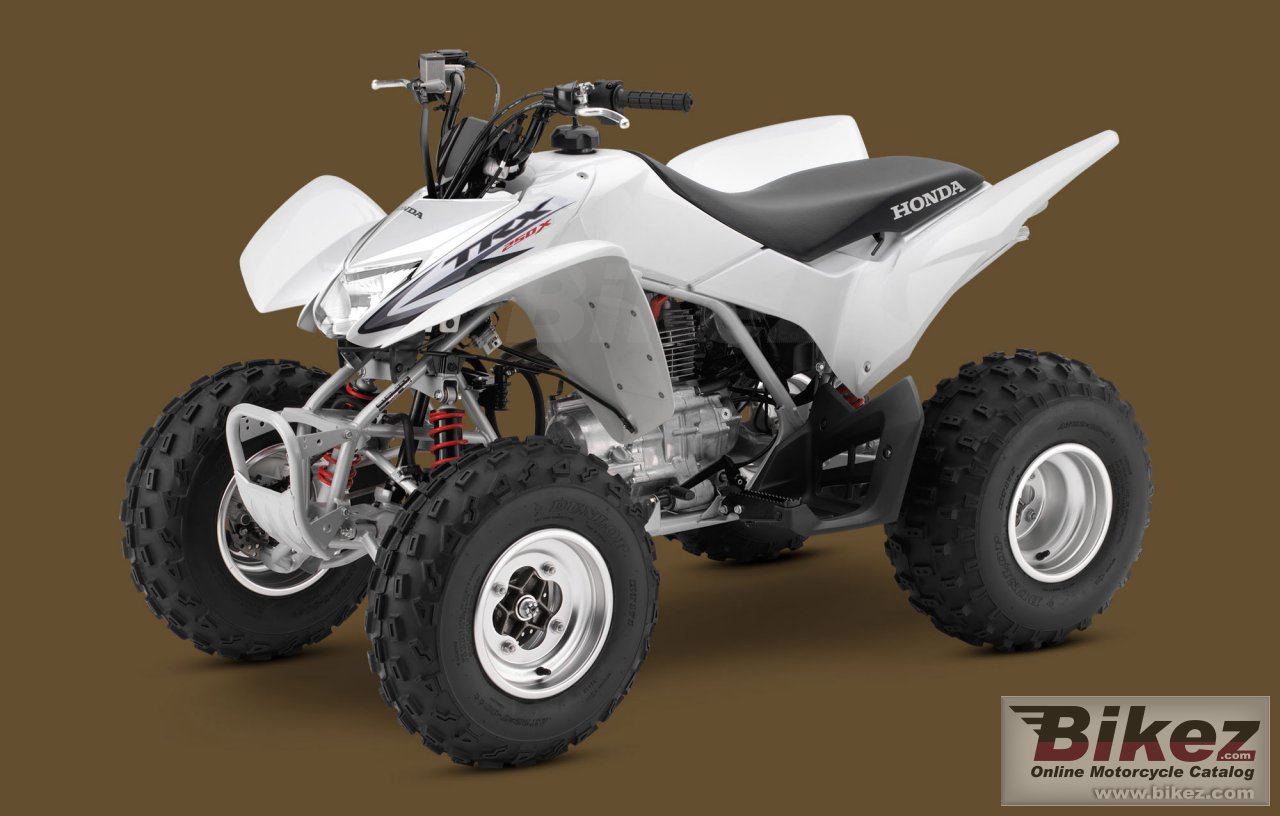 Thumbnail for Honda TRX250X 2009