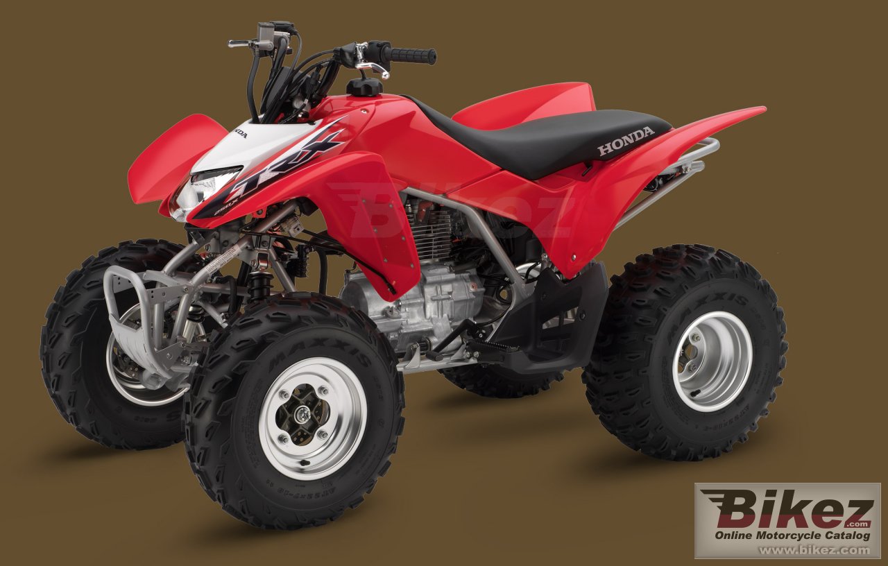 Honda TRX250X