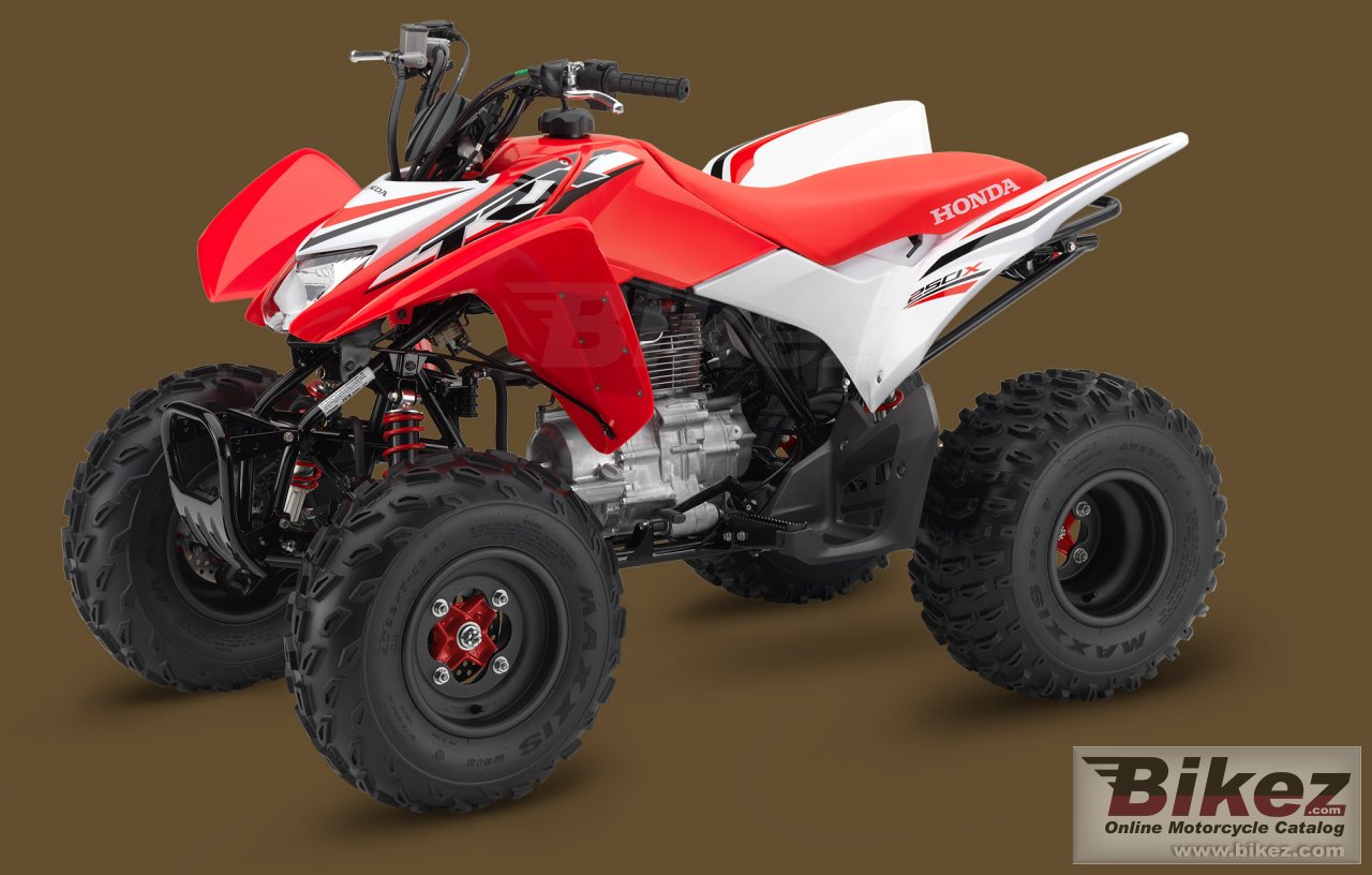 Honda TRX250X
