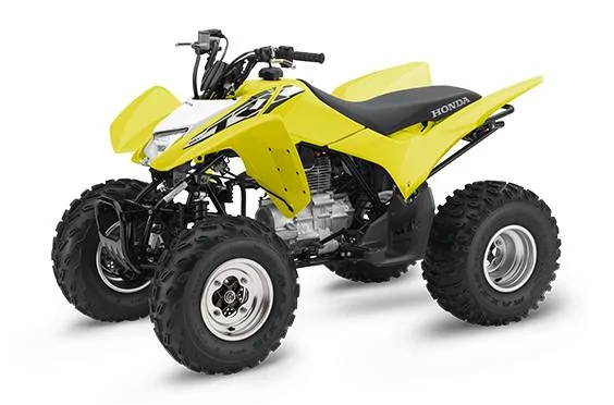 Thumbnail for Honda TRX250X 2018