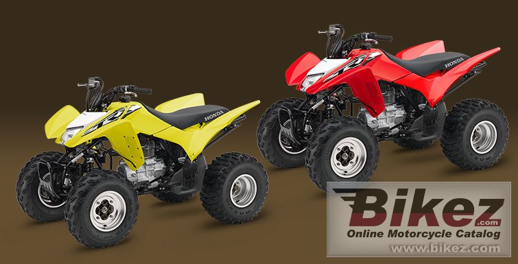 Thumbnail for Honda TRX250X 2018