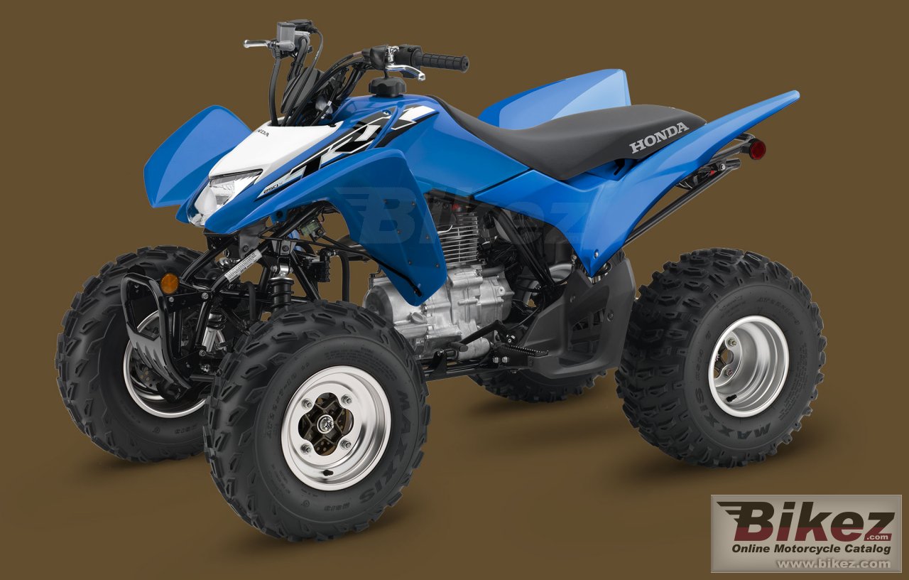 Thumbnail for Honda TRX250X 2019