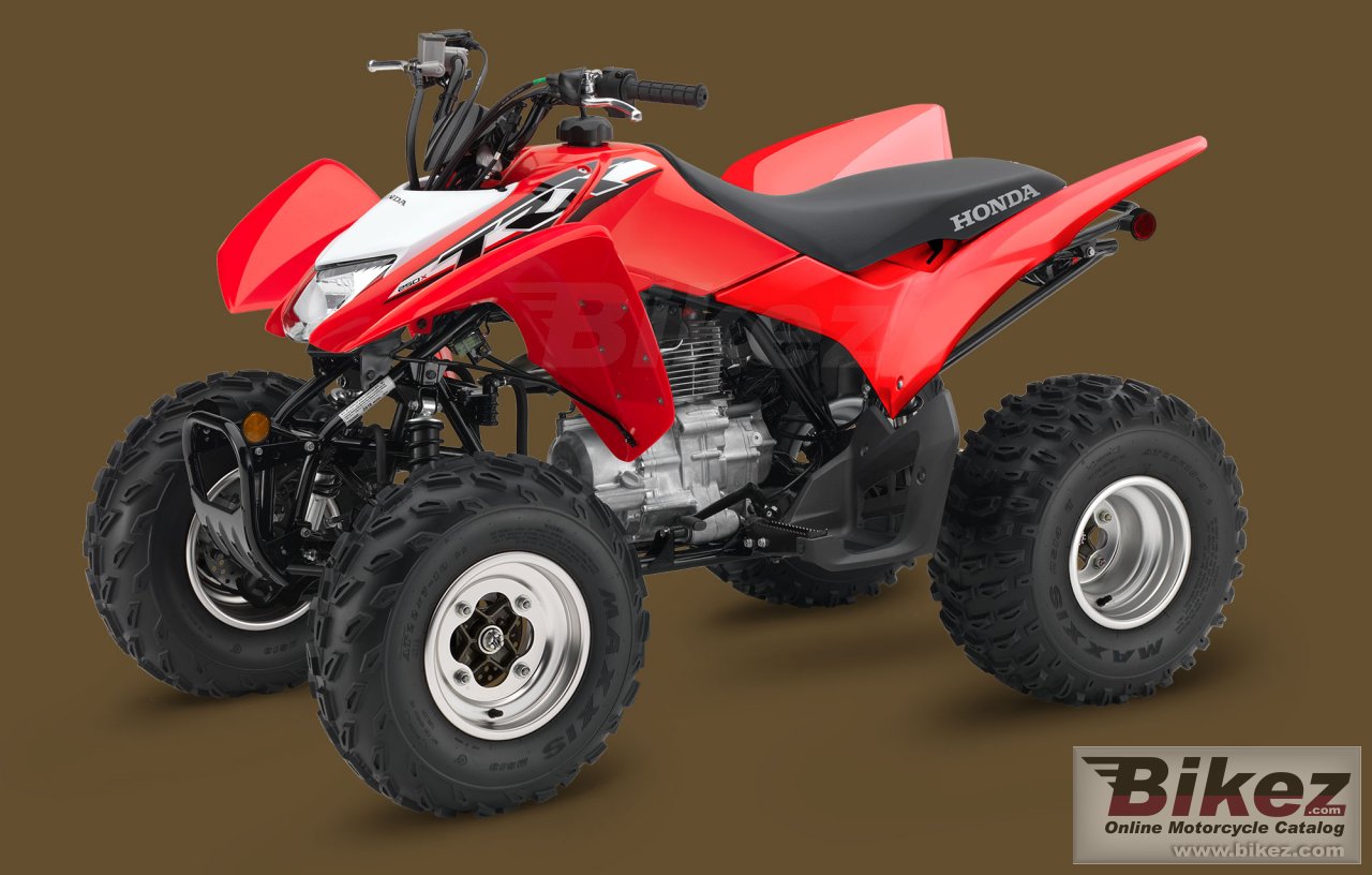 Honda TRX250X