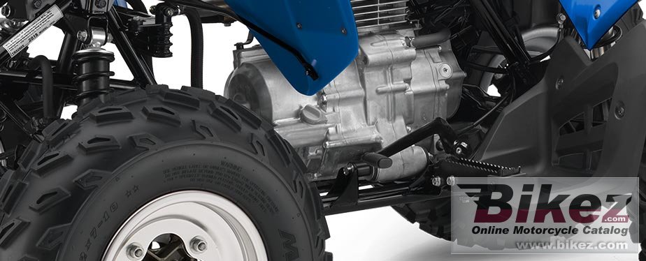 Thumbnail for Honda TRX250X 2020