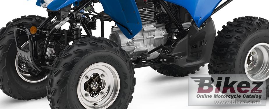 Thumbnail for Honda TRX250X 2020