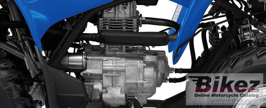 Thumbnail for Honda TRX250X 2020