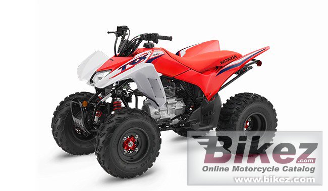 Thumbnail for Honda TRX250X 2023