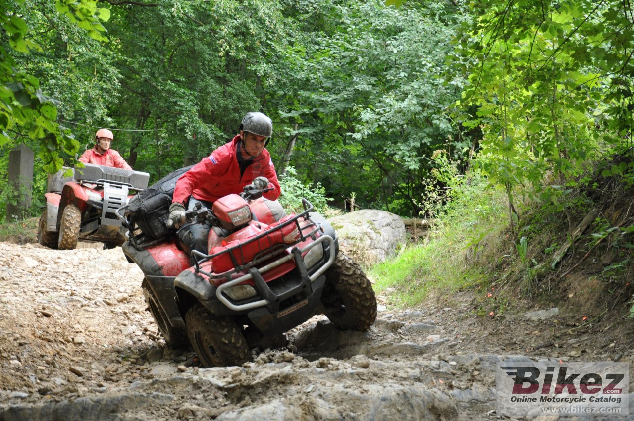 Thumbnail for Honda TRX420FPM 2011