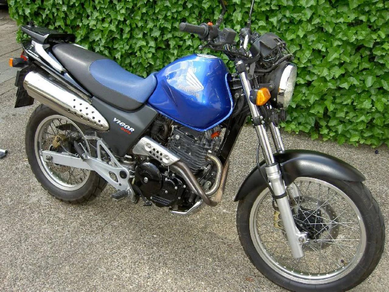 Honda Vigor 650