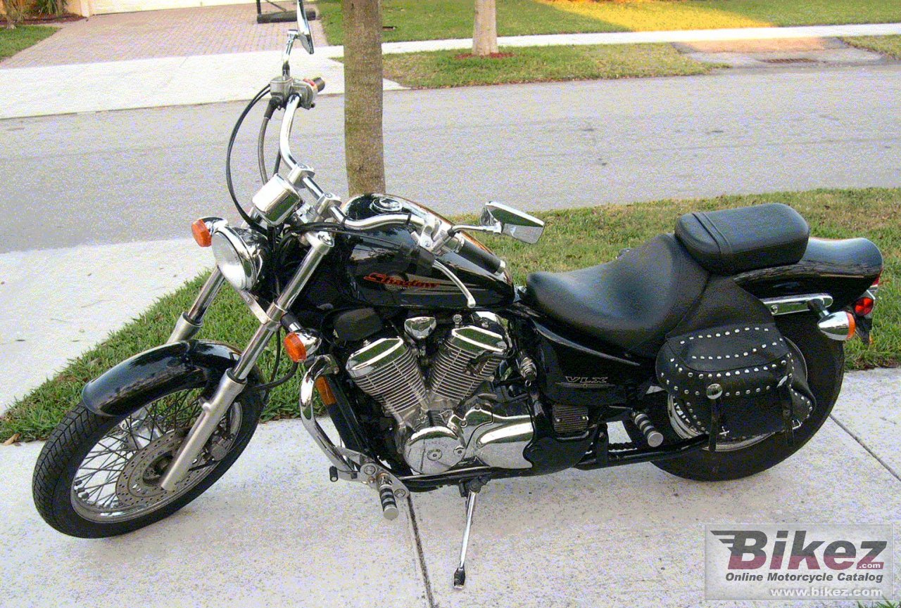 Honda VT 600 C Shadow