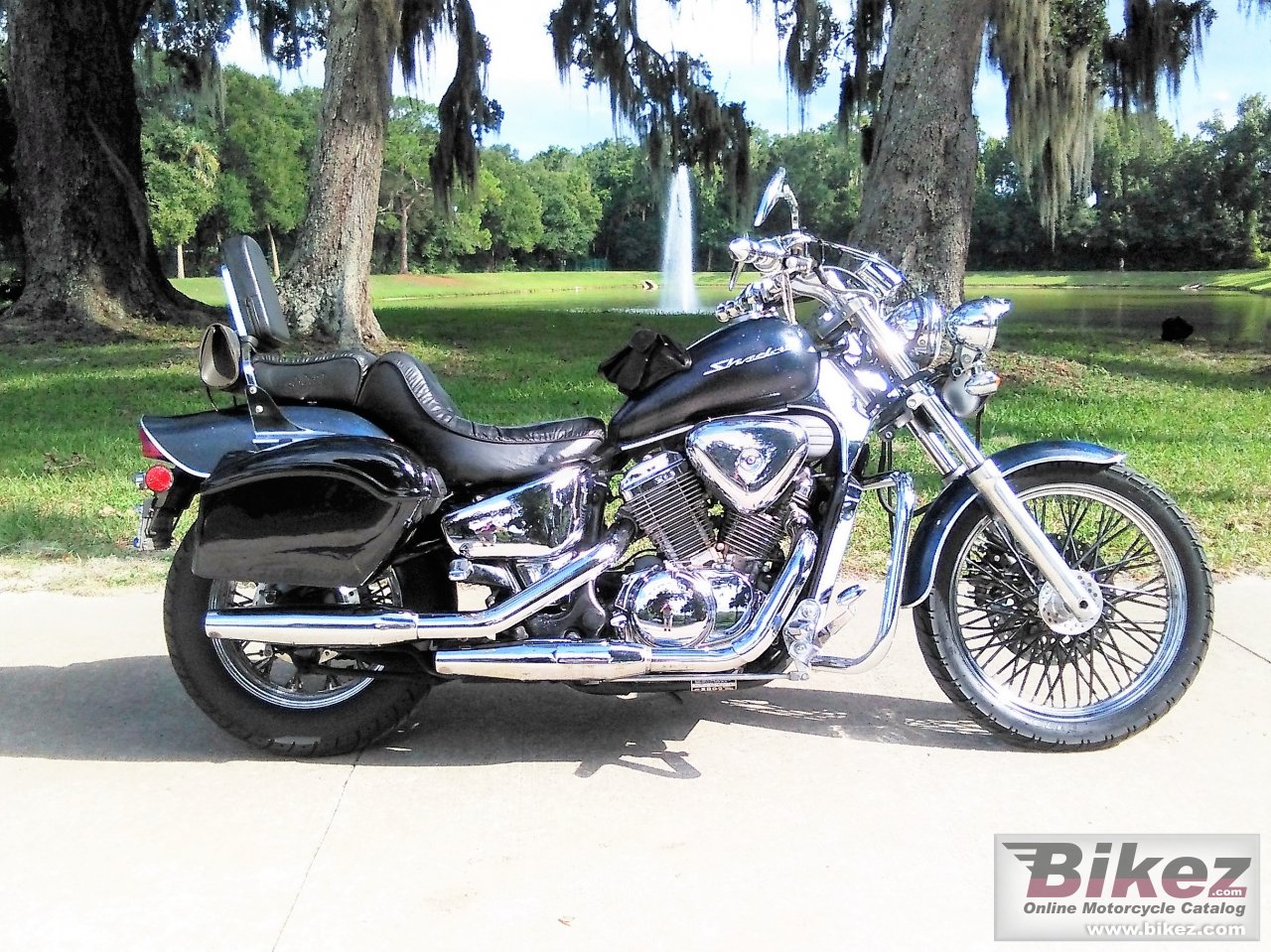 Thumbnail for Honda VT 600 C Shadow 2000