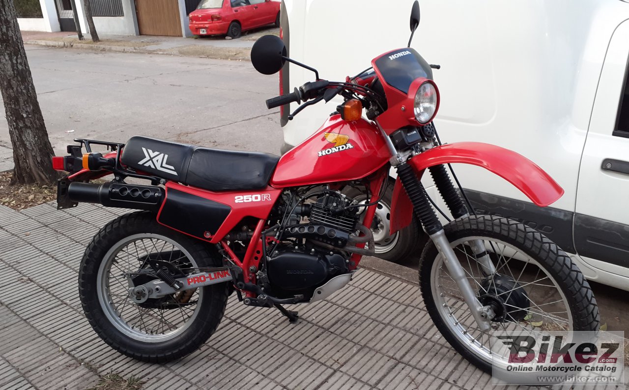 Thumbnail for Honda XL 250 R 1982