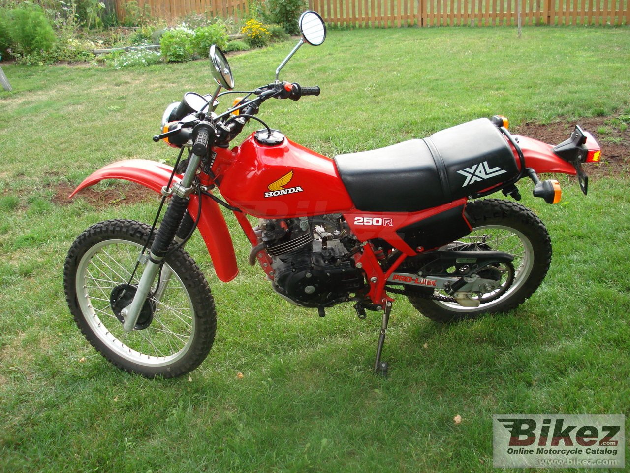 Thumbnail for Honda XL 250 R 1982