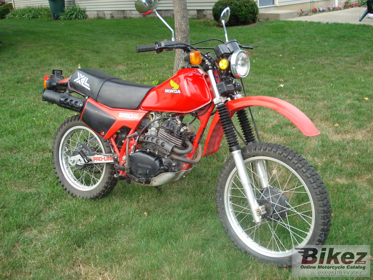 Thumbnail for Honda XL 250 R 1982