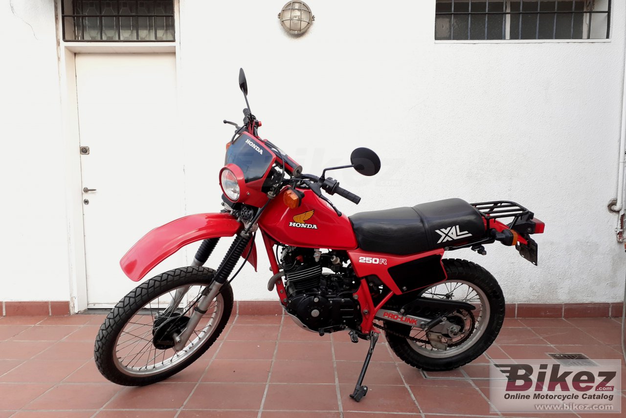 Thumbnail for Honda XL 250 R 1982