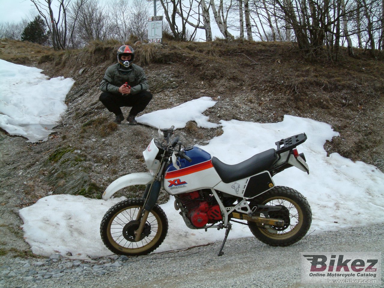 Thumbnail for Honda XL 600 LM 1986