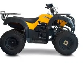 Thumbnail for Izuka Beast 150 2020