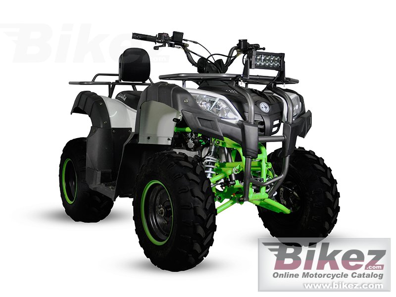 Izuka Beast 200
