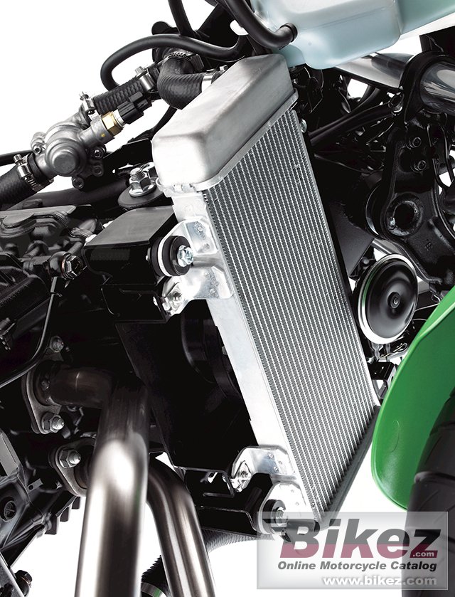 Thumbnail for Kawasaki Ninja 300 ABS 2013