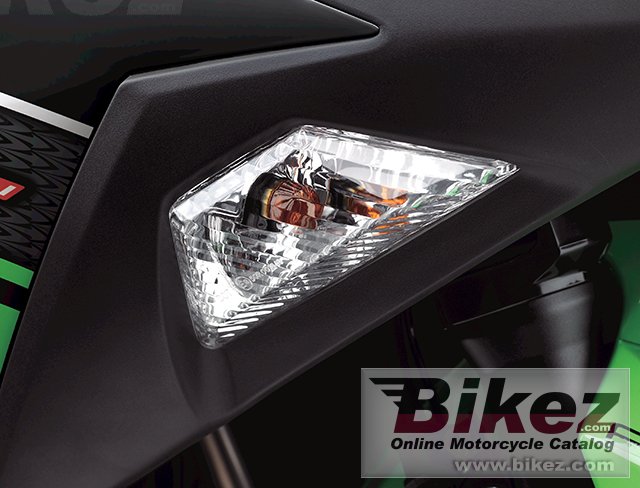 Thumbnail for Kawasaki Ninja 300 ABS 2013