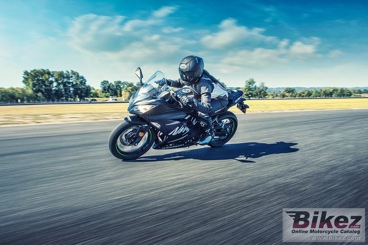 Thumbnail for Kawasaki Ninja 300 ABS Winter Test Edition 2017