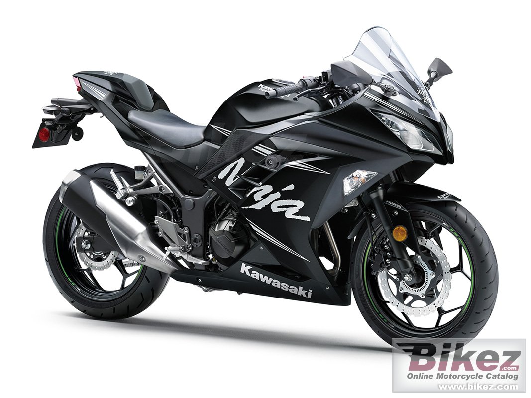 Kawasaki Ninja 300 ABS Winter Test Edition 2017