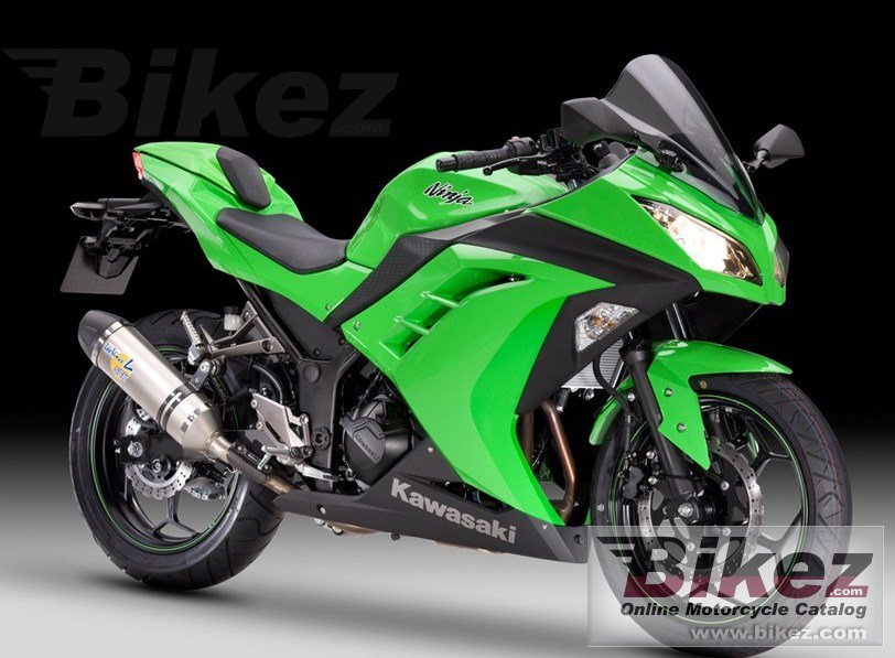 Kawasaki Ninja 300 Performance 2013