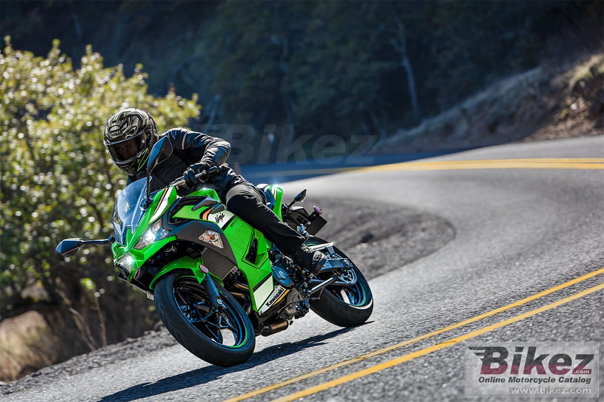 Thumbnail for Kawasaki Ninja 500 KRT Edition 2025