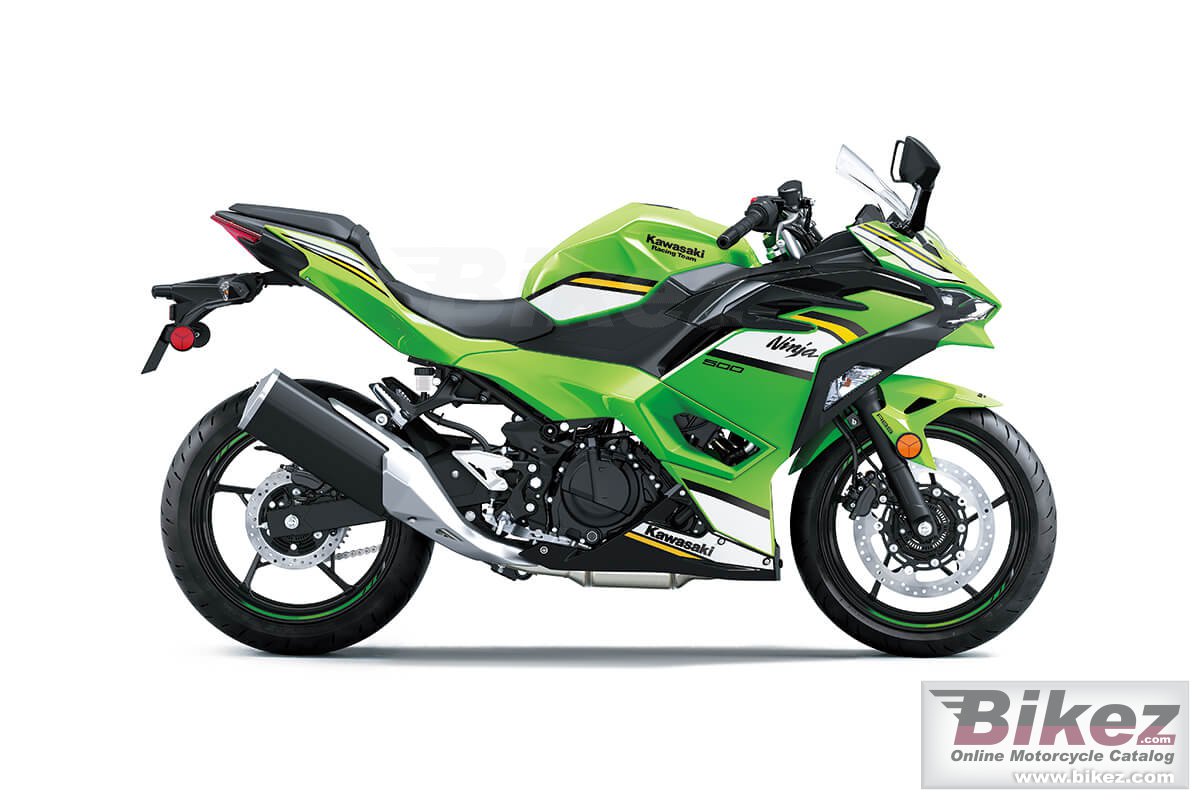 Thumbnail for Kawasaki Ninja 500 KRT Edition 2025