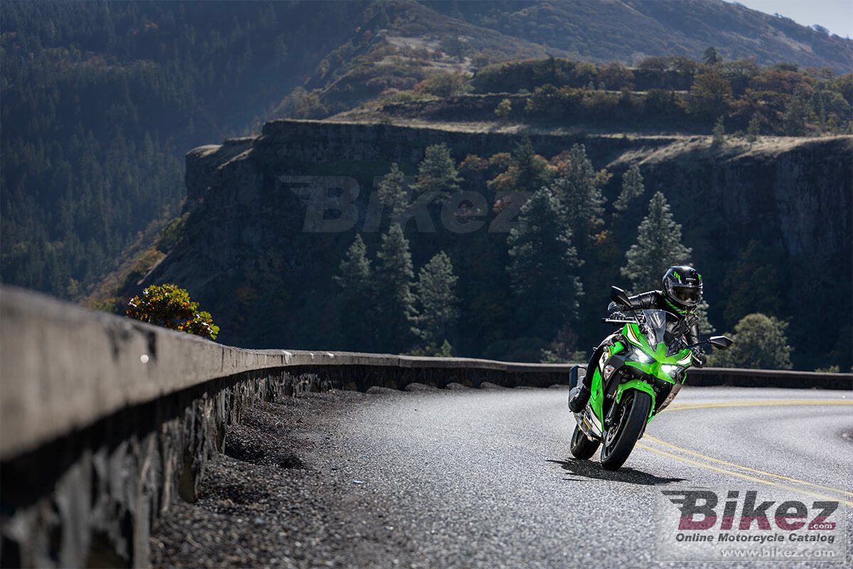 Thumbnail for Kawasaki Ninja 500 KRT Edition 2025