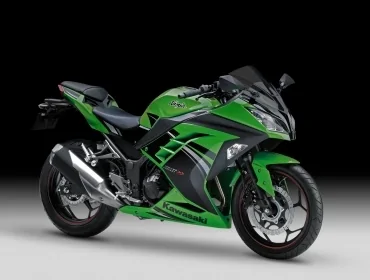 Kawasaki Ninja RR Mono 2015