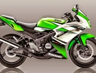 Kawasaki Ninja RR Special Edition 2015