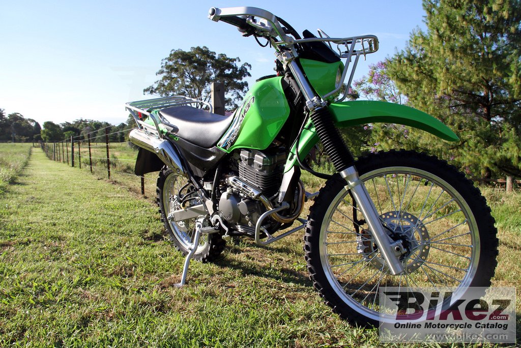 Thumbnail for Kawasaki Stockman 250 2018