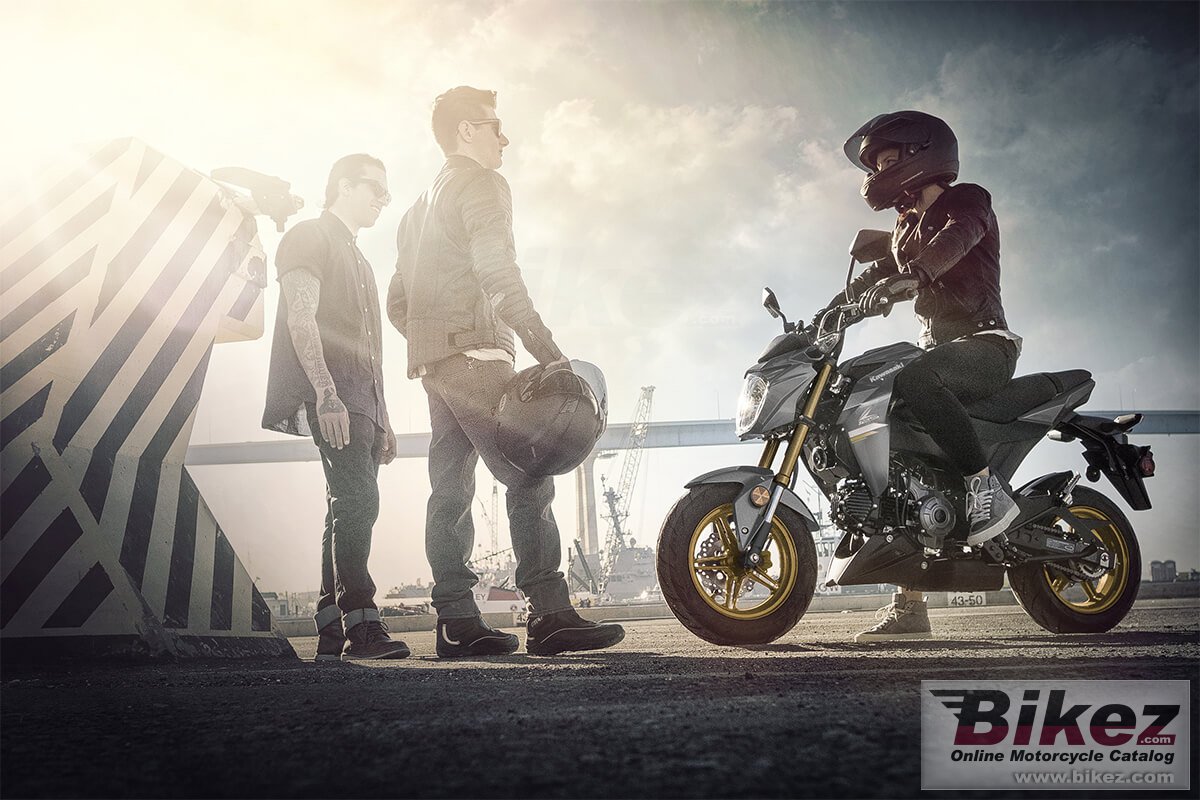 Thumbnail for Kawasaki Z125 Pro 2024