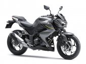 Kawasaki Z250