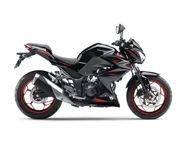 Kawasaki Z250 Special Edition