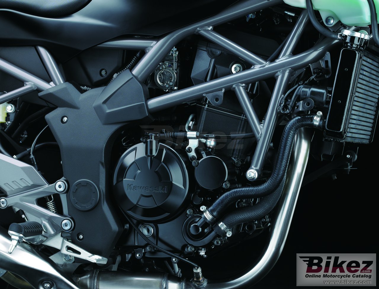 Thumbnail for Kawasaki Z250SL 2015