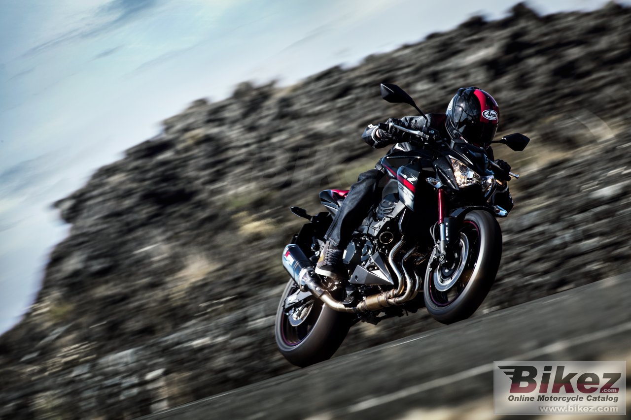 Thumbnail for Kawasaki Z800 Sugomi 2016