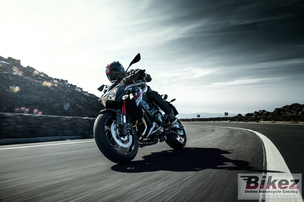 Thumbnail for Kawasaki Z800 Sugomi 2016