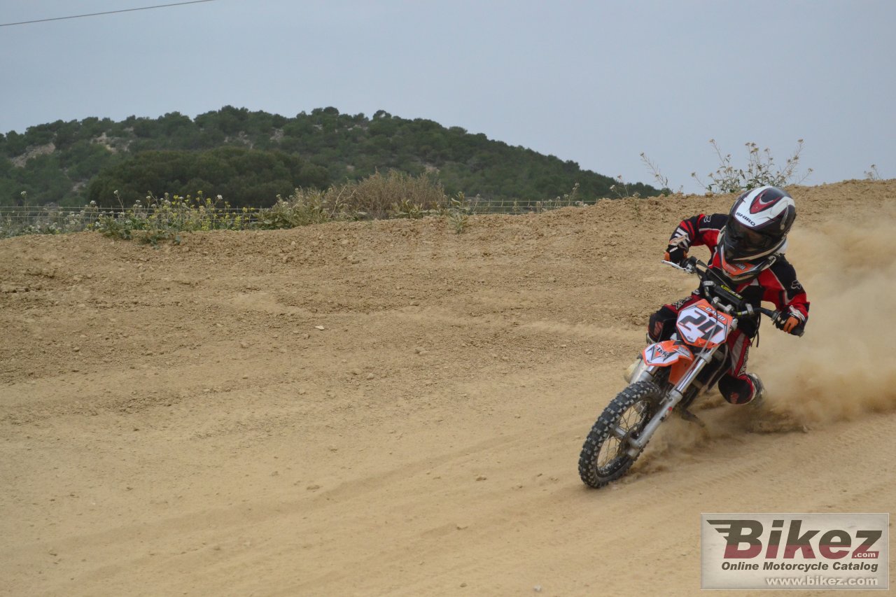 Thumbnail for KTM 50 SX Junior 2009