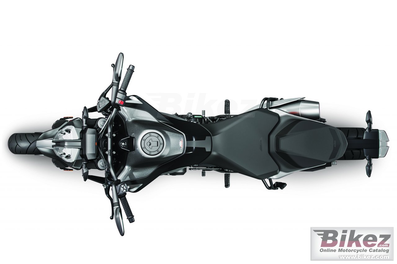 Thumbnail for KTM 790 Duke 2019
