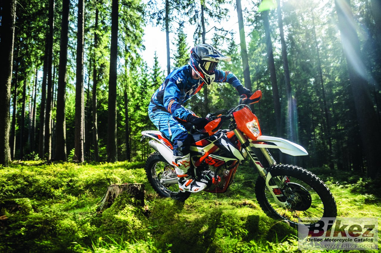 Thumbnail for KTM Freeride 250 F 2019