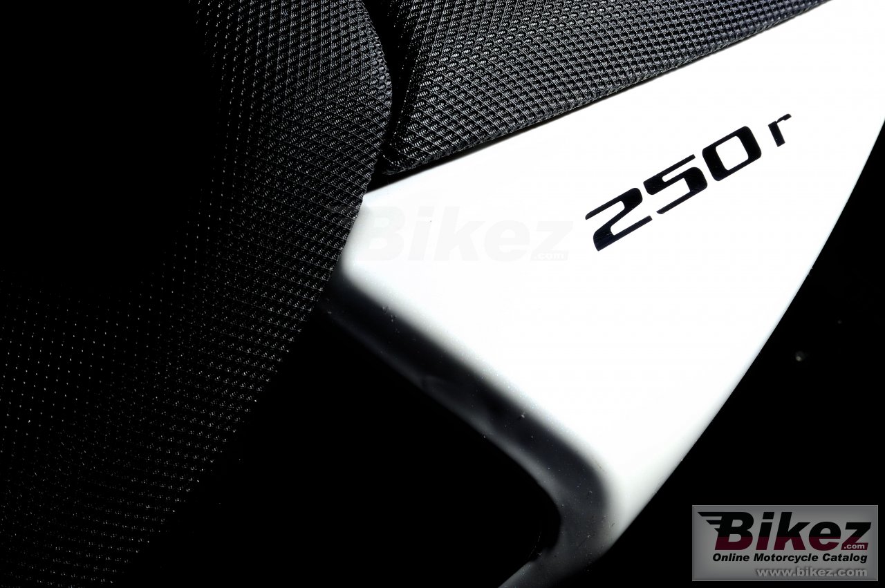 Thumbnail for Megelli Sport 250 R 2013